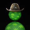 the weed 😶‍🌫️ 的头像