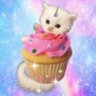 Profilbild von pusheen🧁