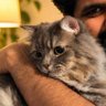 Bits profil fotoğrafı