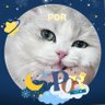 Фото профиля 𝑁𝐴𝑀𝐹♡𝑁 ≽^• ˕ • ྀི≼