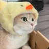 Profilbild von พบรักที่พบพระ