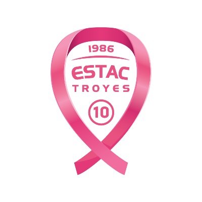 estac_officiel's profile picture