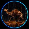 𝐒𝐚𝐫𝐚 ஐ's profile picture