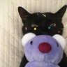 Profilbild von catboy