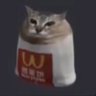LLL Vigg's profile picture