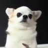 Profilbild von Jws