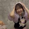 おーだそ(そわそわしてるぱる)'s profile picture