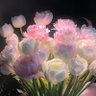 bloom 的头像