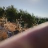 ennaniabdelghani profil fotoğrafı