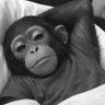 Profilbild von Chillguy