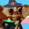 Gizmo 🇵🇸 的头像