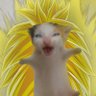 Hernando's profile picture