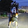 WaerDftreL's profile picture