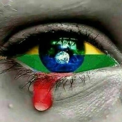 BenitoRodPerez's profile picture