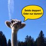 MiniMax™️360°Meinungsaustausch 🇦🇹🤝🇩🇪🤝🌍 ❎ profil fotoğrafı