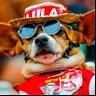 CABO ELEITORAL DO LULA (13) 的头像