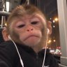 jim🍉's profile picture