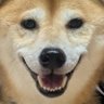 Profilbild von うそんせ(ex東京メトロ)