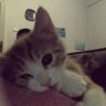 TakeMyHand's profile picture