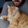 Profilbild von Nick
