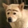 Profilbild von DUMMIE