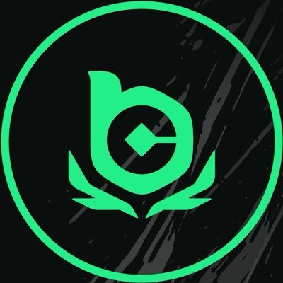 BCGameEsports's profile picture