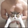 蕉太狼AIGC 的头像