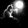 raghad's profile picture
