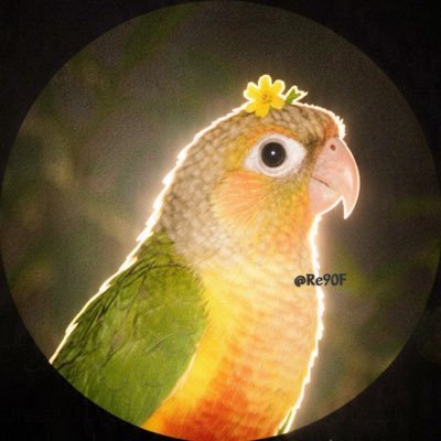 Reį⋆°✩'s profile picture