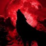 Profilbild von TheSongDog11