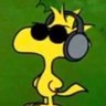 hot sexy young birdie's profile picture