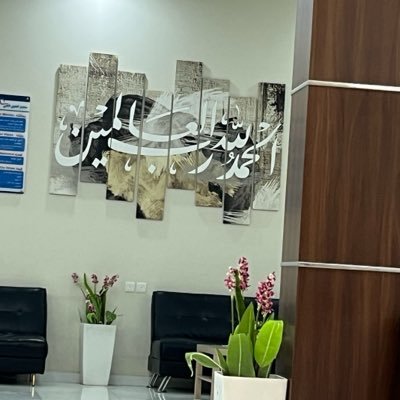 shroqalzin's profile picture