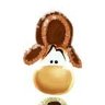 Ice Cold Rayman's profile picture