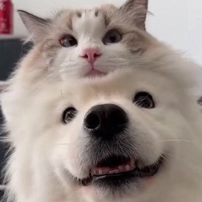 view_of_NEW's profile picture