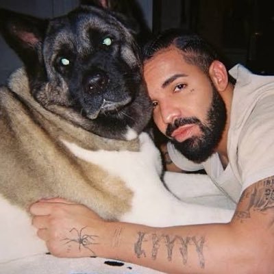 Azula's profile picture
