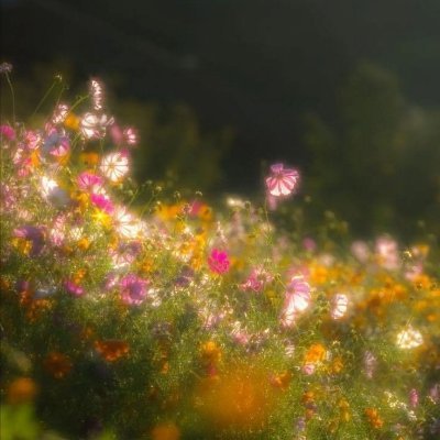 prettychaotic09's profile picture