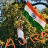 SN Bhardwaj's profile picture