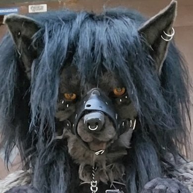 FourthHikaru's profile picture