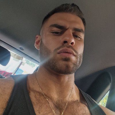 Olaf van Daal's profile picture