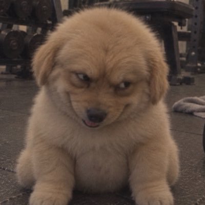 Chaipipat Buyket's profile picture
