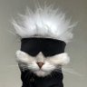 Profilbild von Stefan