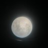 Selene profil fotoğrafı