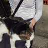 Profilbild von 猫と小説と脱力と映画と音楽と戦争と死に方と奈良と自然と愛と憎しみとアニメと家事とおうちごはんと仮想妻