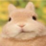 Profilbild von bald