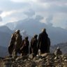 Tora Bora 的头像