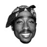 du lac's profile picture