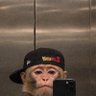 KinmoClips's profile picture