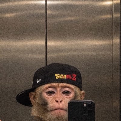 Hulzic's profile picture
