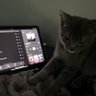 HK's profile picture