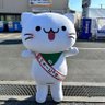 Avvi.gt 的头像